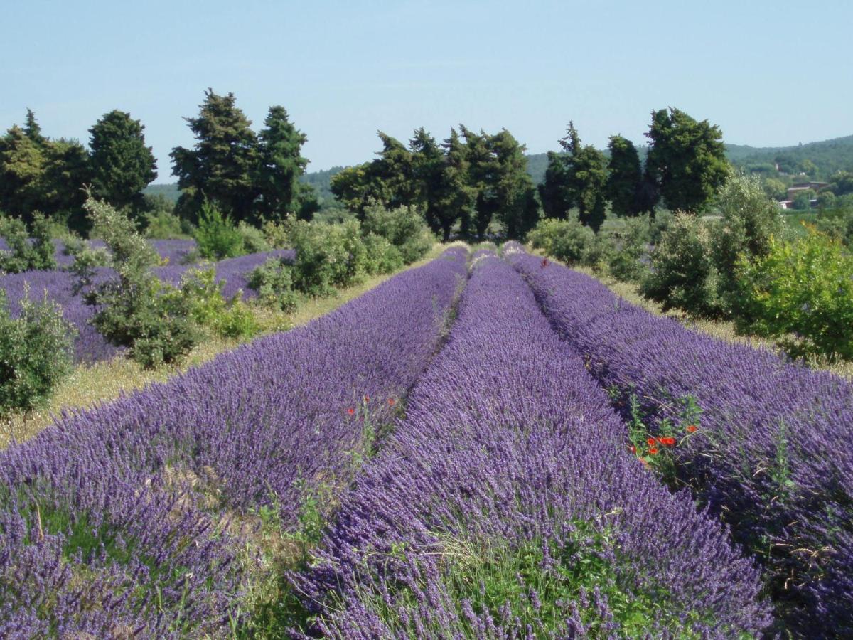 Clos Des 3 Ruisseaux Taulignan Экстерьер фото